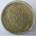 Fagopyrum esculentum Organic Buckwheat Grass Powder